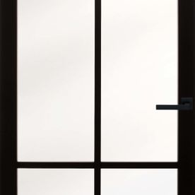 Industriële deur, zwart en glas